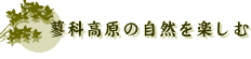 蓼科高原の自然を楽しむ