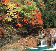 横谷おしどりの滝写真