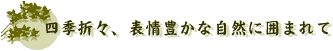 四季折々、表情豊かな自然に囲まれて