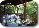 小斉の湯(こさいのゆ) 森林浴の湯